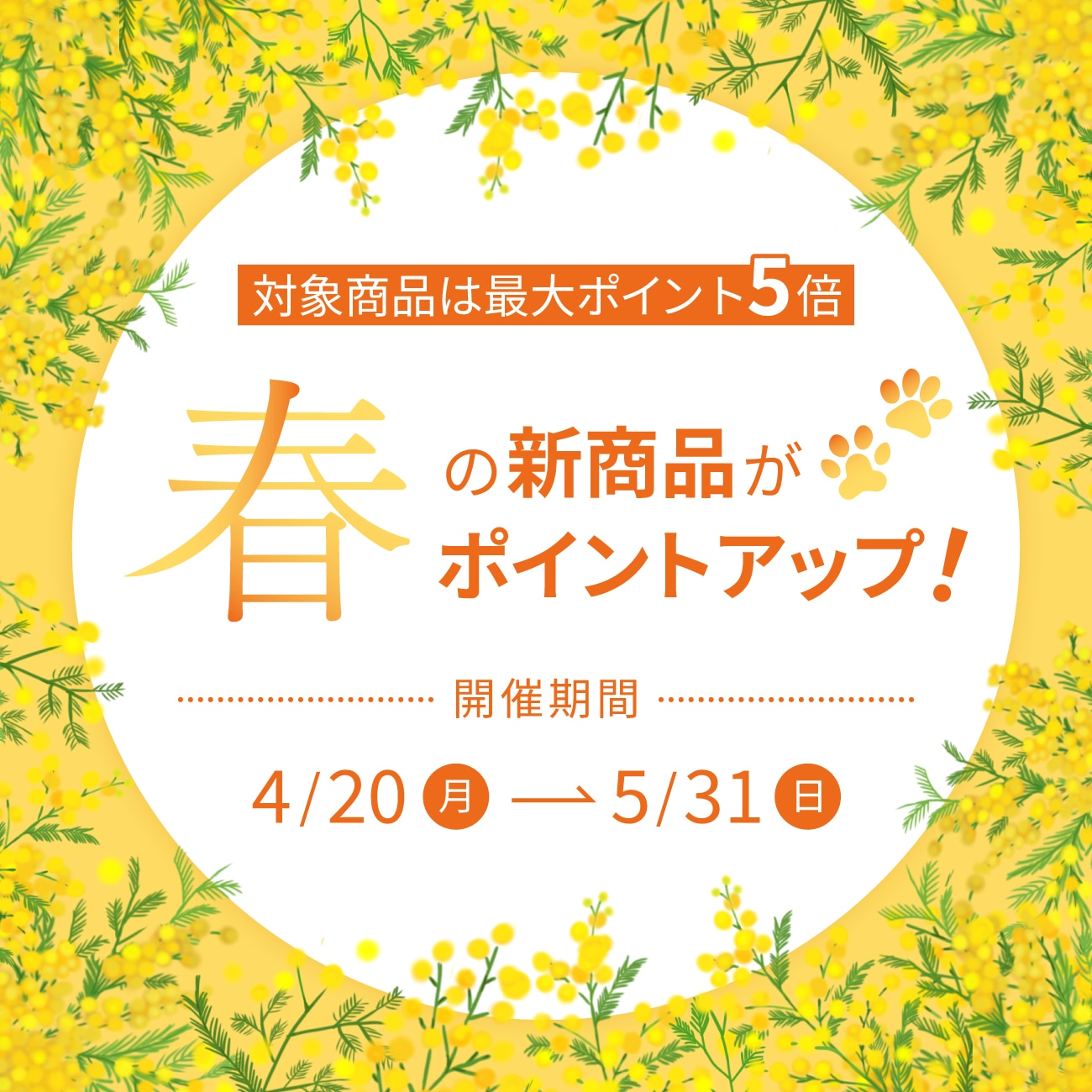春のポイントアップキャンペーン