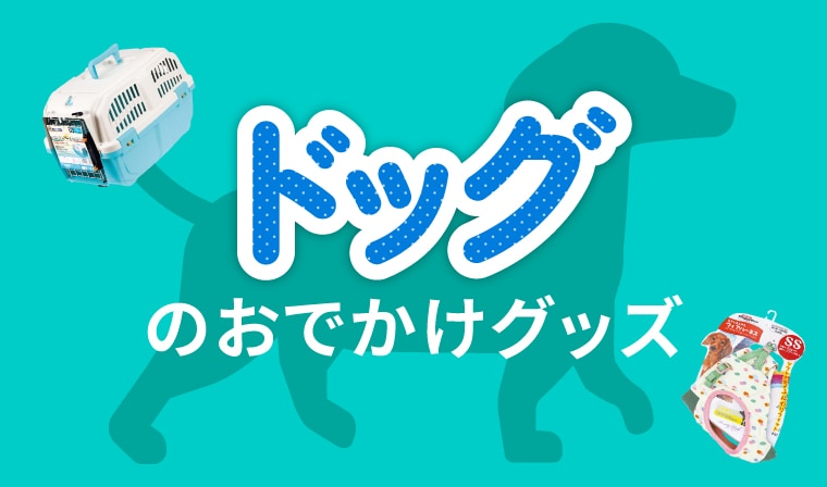 ワンちゃんお出かけ