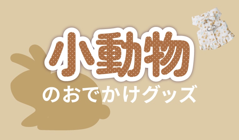 小動物お出かけ