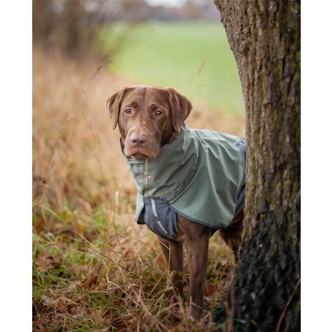 Non-stop dogwear ノンストップ フィヨルドレインコート サイズ33~65