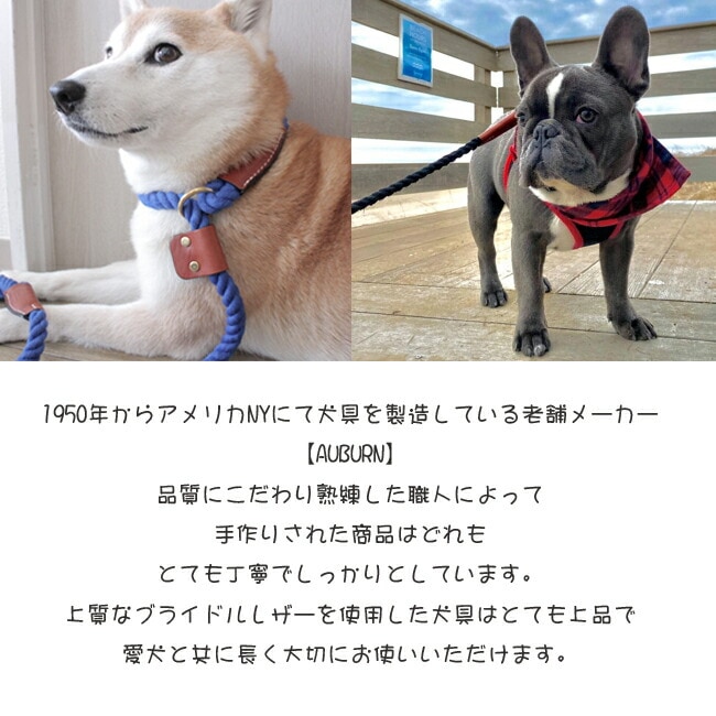 AUBURN コットンロープスリップリード 中型犬大型犬用 アメリカ製 首輪