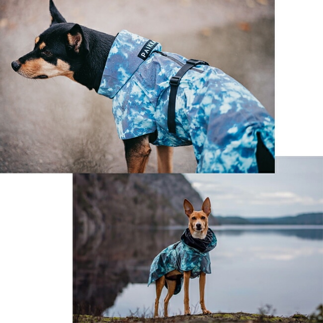 暗闇で光るレインコート PAIKKA ビジビリティレインコート 小型犬