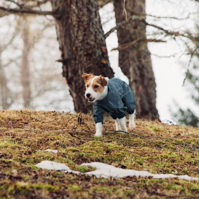 ルッカ プロテクトオーバーオール サイズ30 ～65 犬 レイン