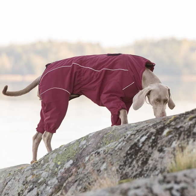 ルッカ サーマルオーバーオール サイズ30～65 犬 レインコート 大型犬