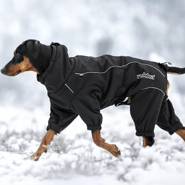 ルッカ サーマルオーバーオール サイズ30～65 犬 レインコート 大型犬