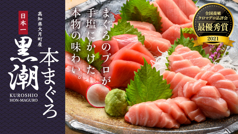黒潮本まぐろ