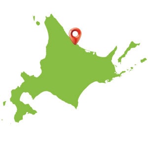 北海道 沙留（さるる）の位置
