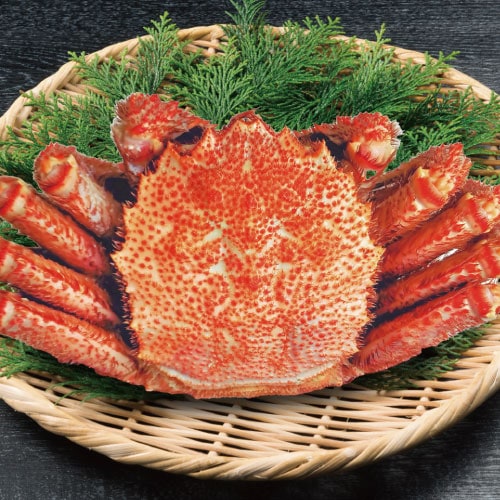 沙留産 浜茹で毛がに 660g