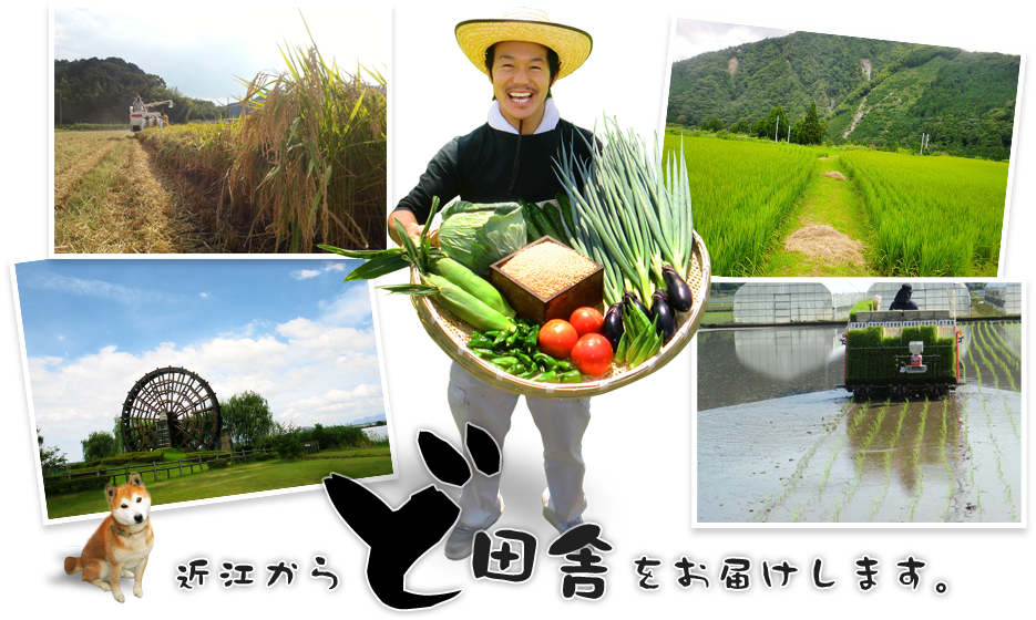 近江からど田舎をお届けします