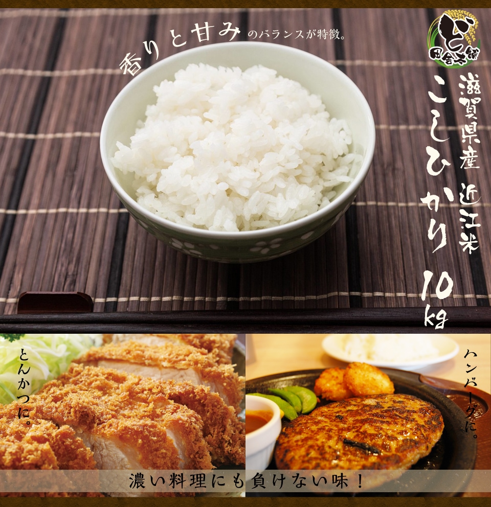 【10月以降値上げ】RICE28 16-17 150cm 10月以降値上げ】RICE28 16-17 150cm 10月以降値上げ】RICE28 16