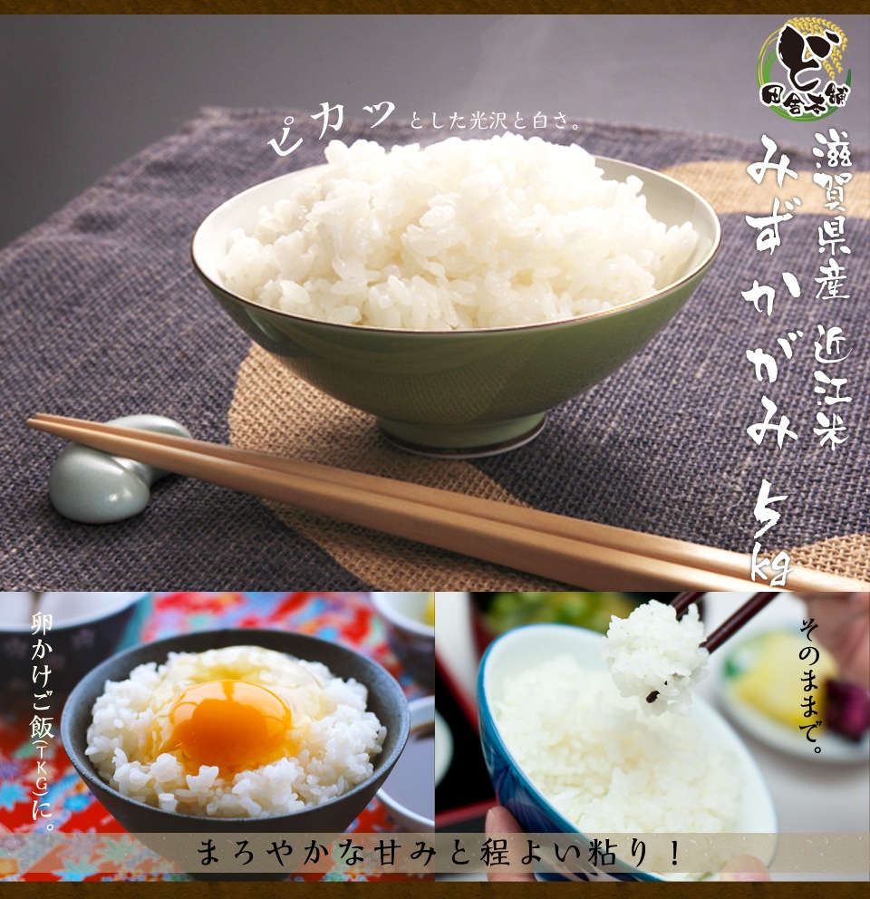 滋賀県産近江米　みずかがみ　5kg