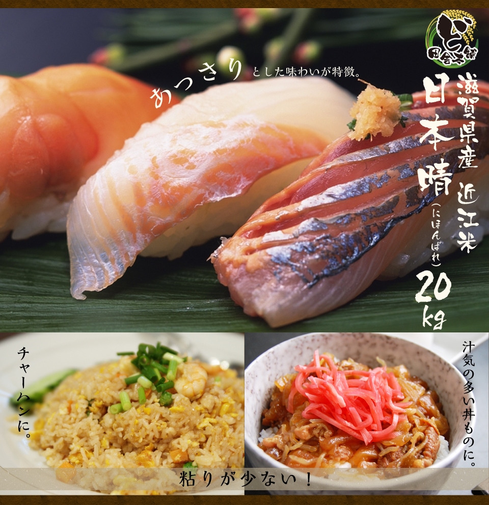 滋賀県産近江米　日本晴　20kg