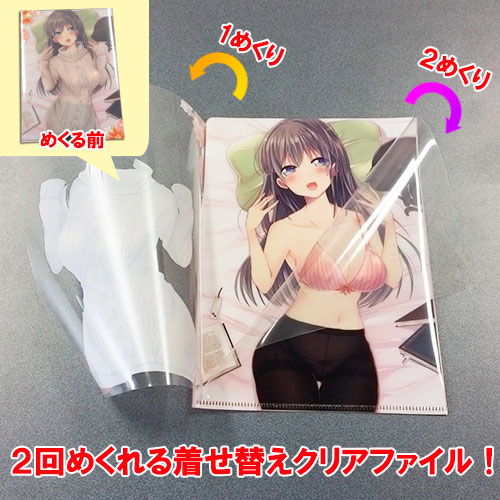 A5超着せ替えクリアファイル（Bタイプ）