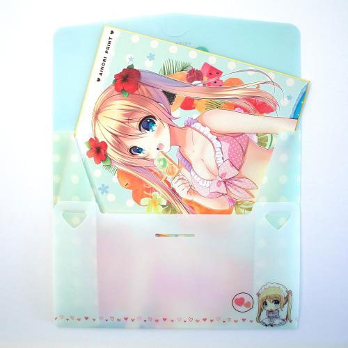 色紙が入るフラットケース