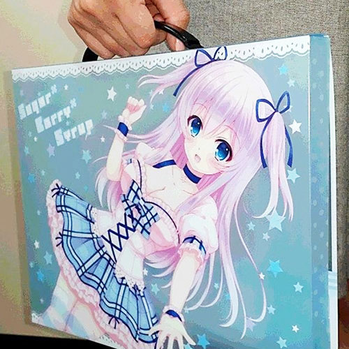 キャリングケース（取っ手付）