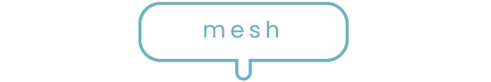 mesh
