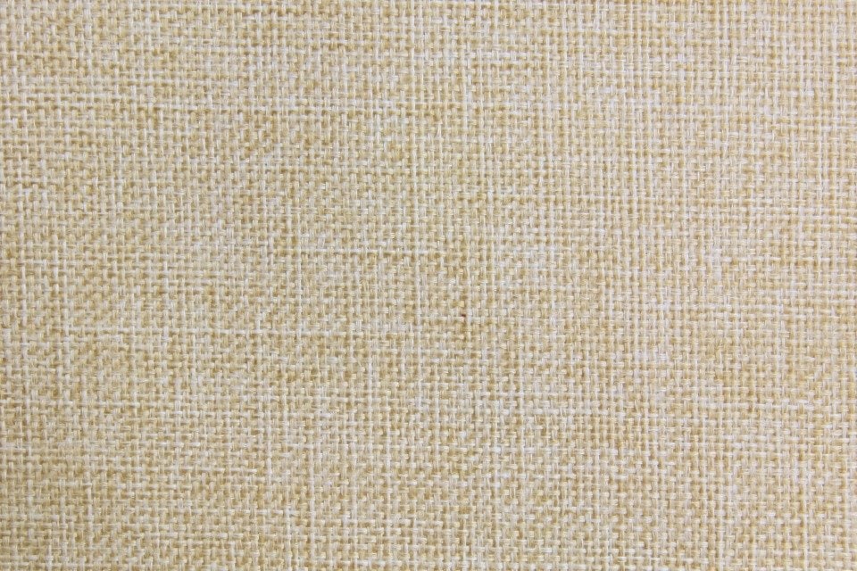 D-330（アイボリー）