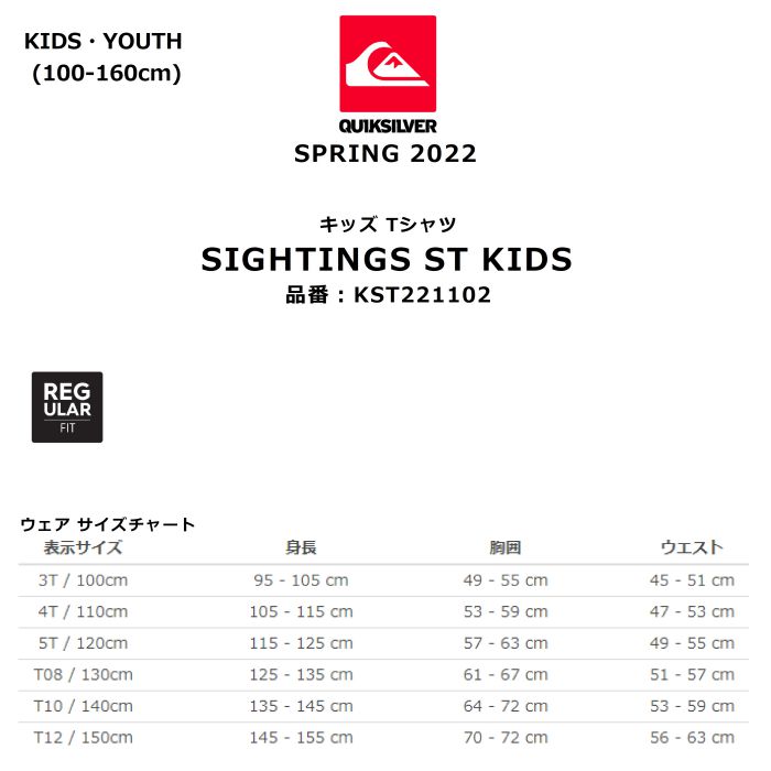 QUIKSILVER クイックシルバー SIGHTINGS ST KIDS KST221102 キッズ Ｔシャツ レギュラーフィット  100-160cm バックプリント ガーメントウォッシュ加工 正規品-スノーボード（キッズ）・サーフィンの専門店｜DREAMY