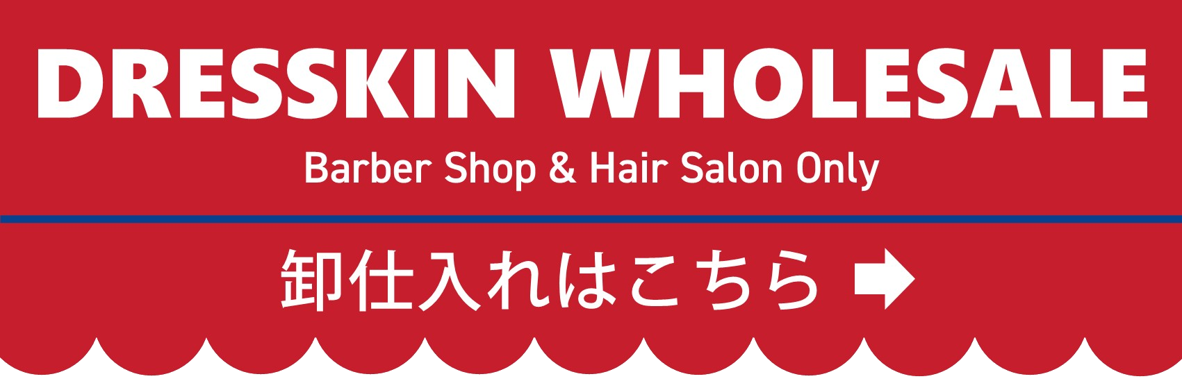 DRESSKIN wholesale banner