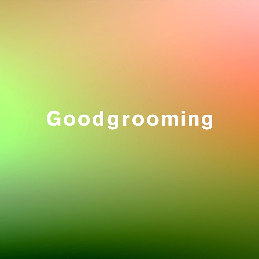 ���䤫�ʿ����Ťʤ�Goodgrooming�Υࡼ�ɥӥ��奢��