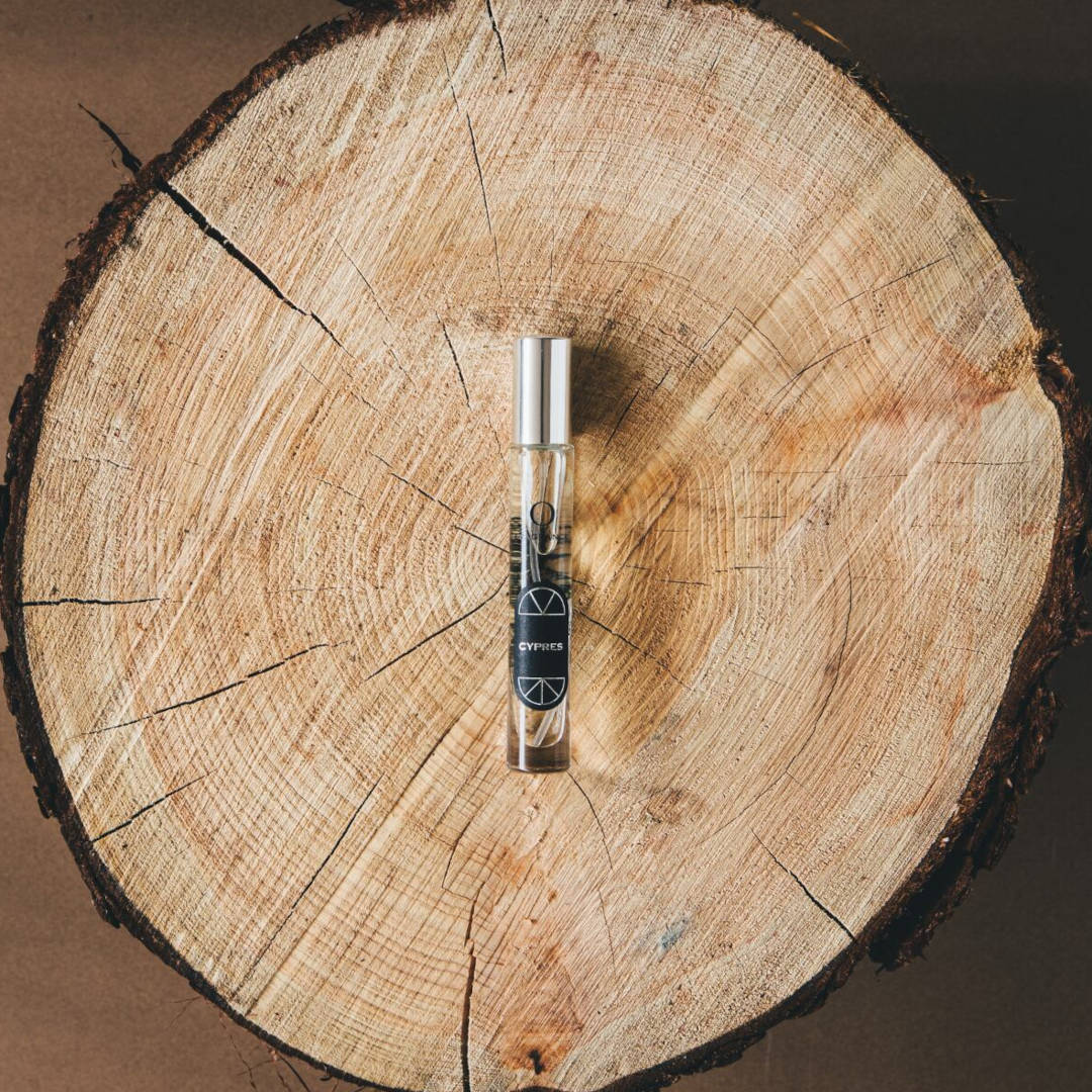 �����ץ�