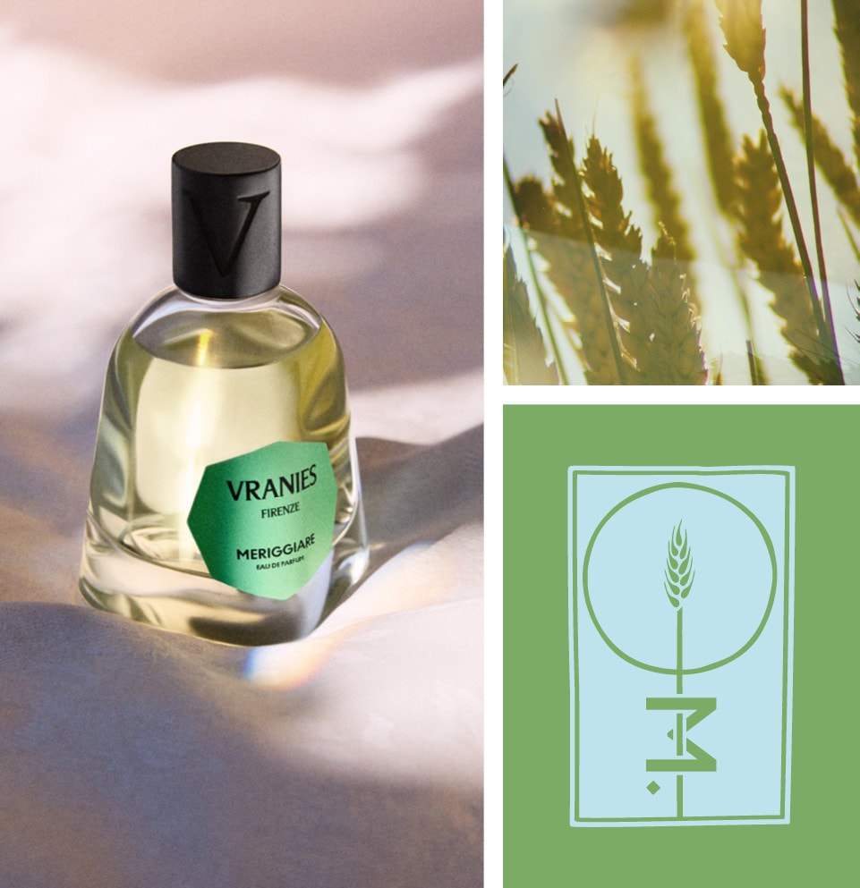 DRESSKIN | ドレスキン