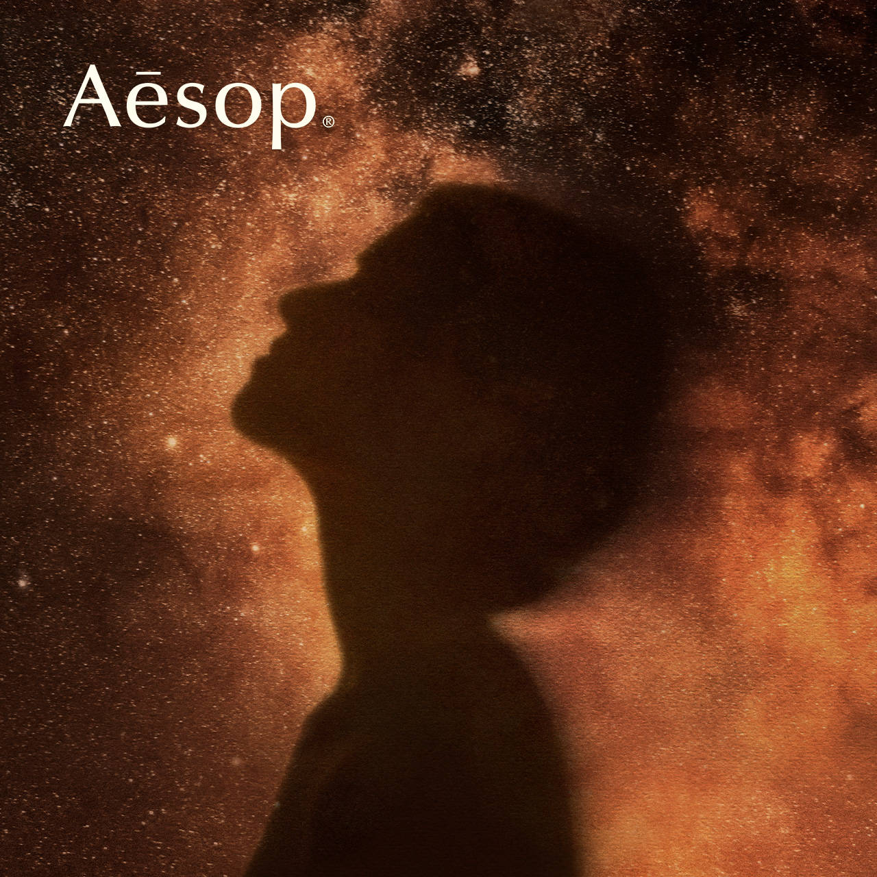 DRESSKIN | ドレスキン