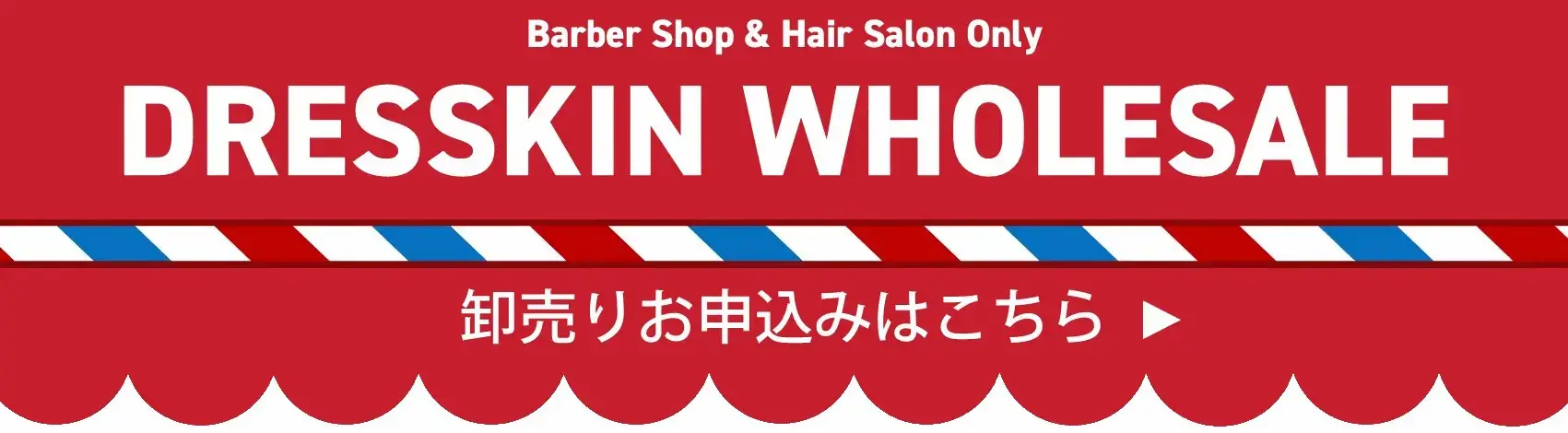 DRESSKIN wholesale banner