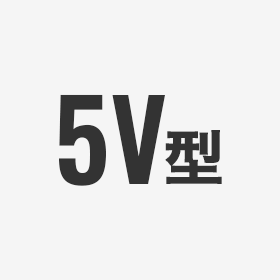 5V