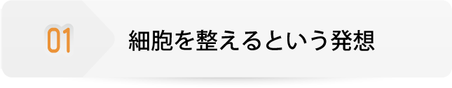 01 細胞を整えるという発想