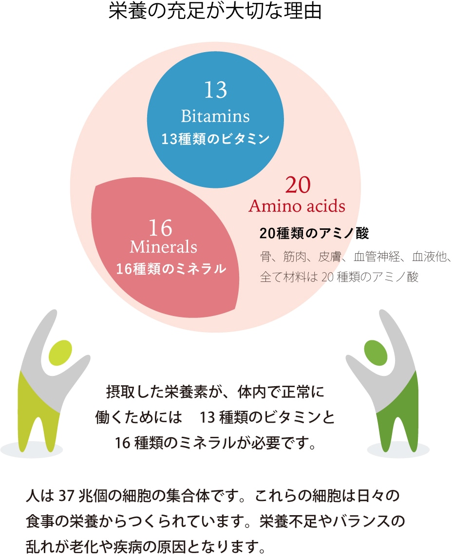 摂取した栄養素が、体内で正常に働くためには13種類のビタミンと16種類のミネラルが必要