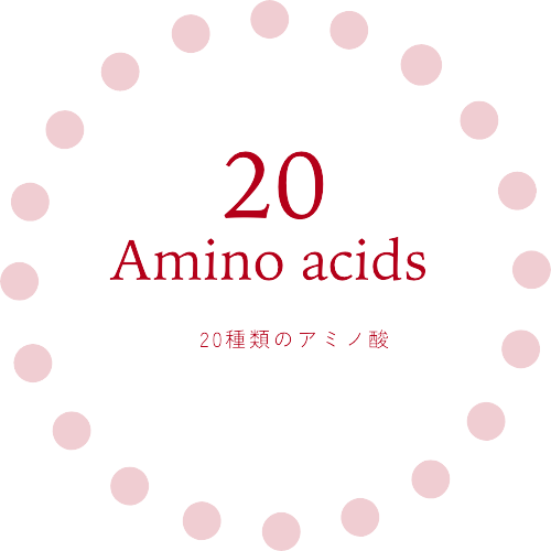 20 Amino acids
