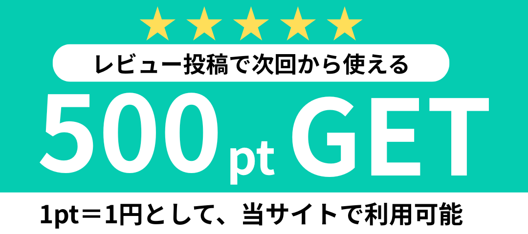 レビュー投稿で500ポイントプレゼント