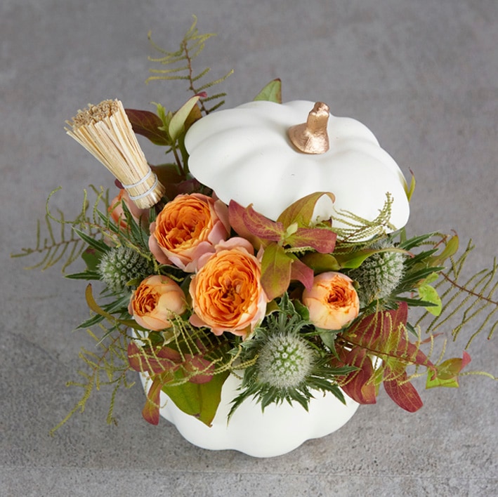 D.STYLE ONLINE STORE