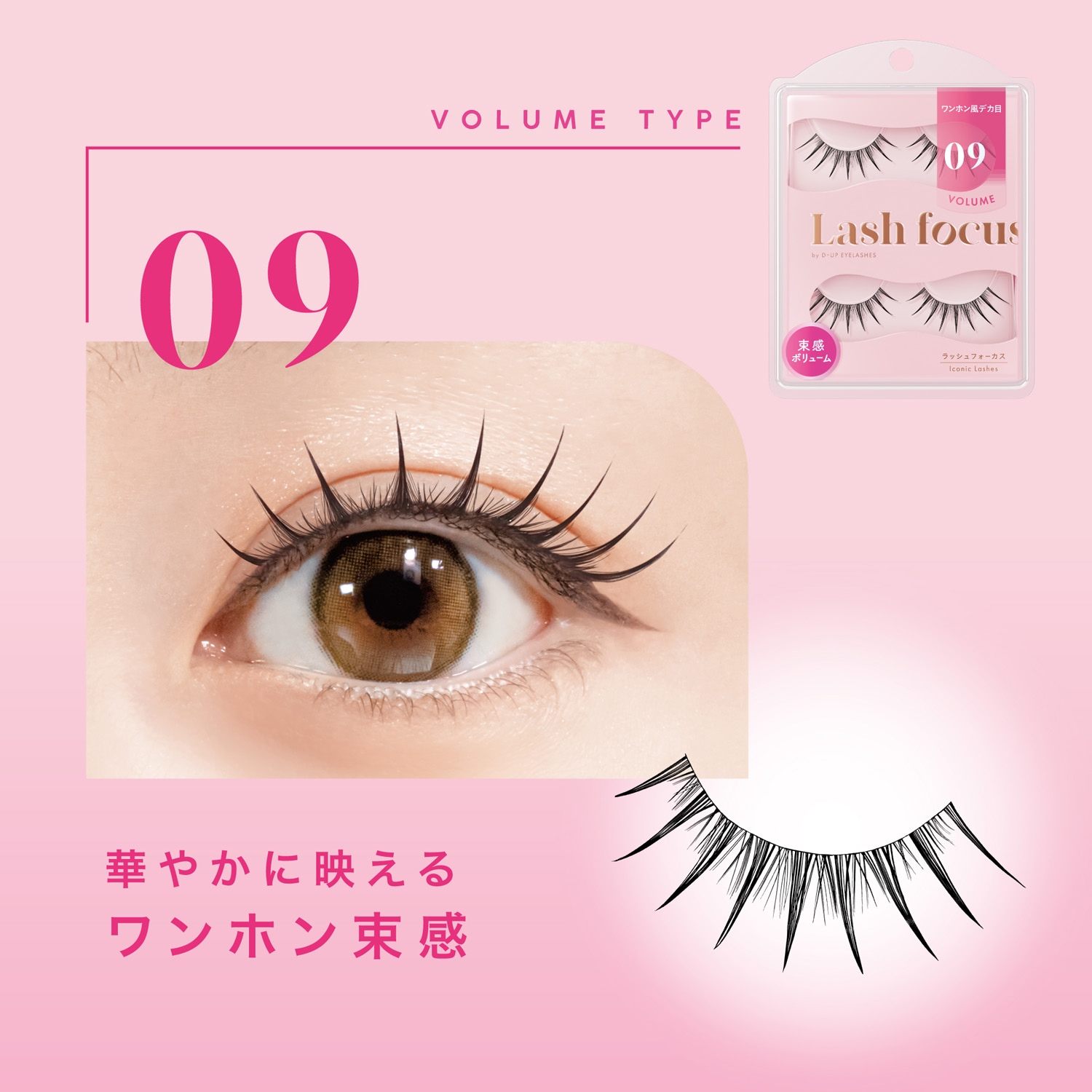 ラッシュフォーカス 02 ＜ヌードタイプ＞｜D-UP ONLINE SHOP公式通販