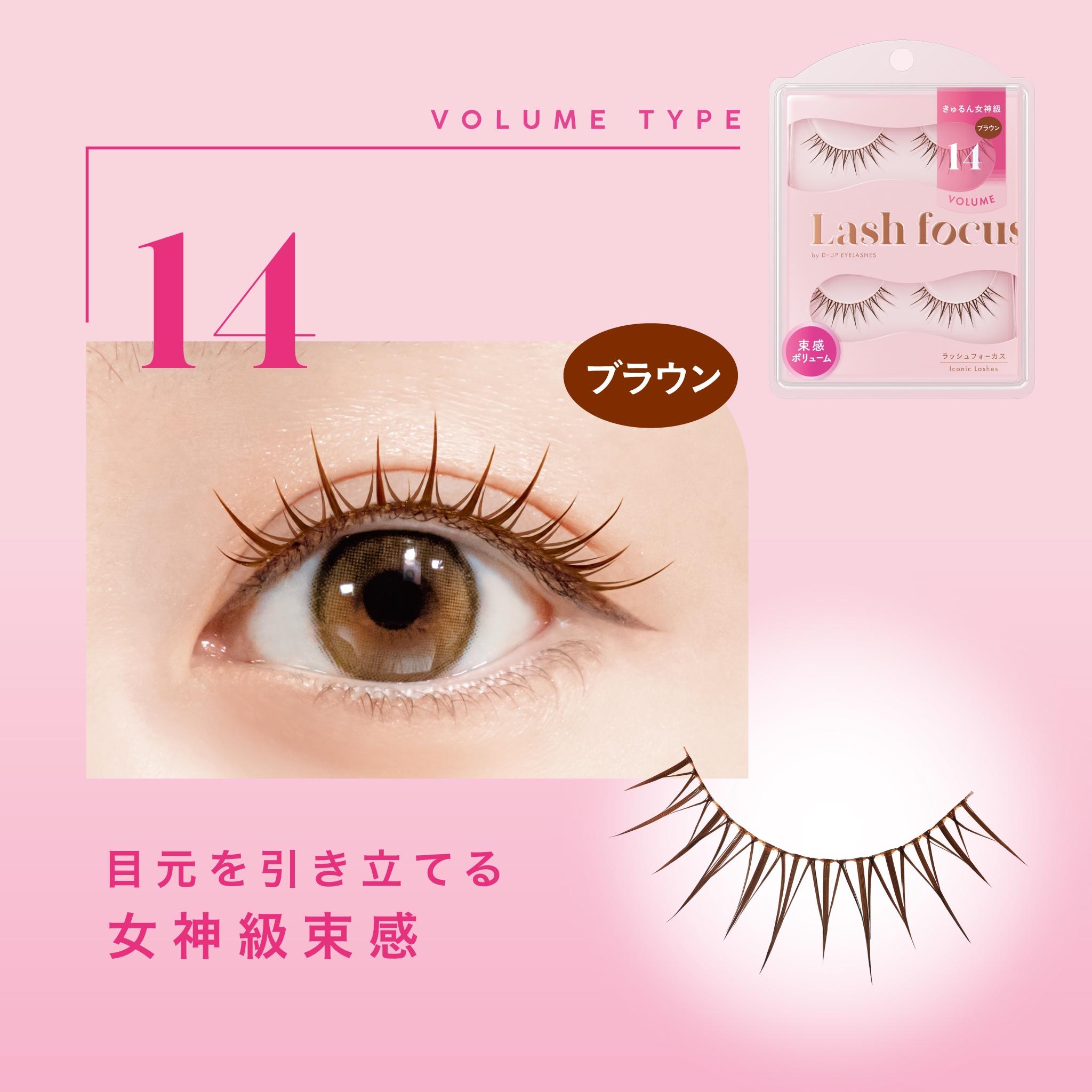 ラッシュフォーカス 02 ＜ヌードタイプ＞｜D-UP ONLINE SHOP公式通販