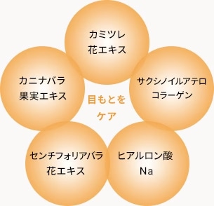 美容液成分図解