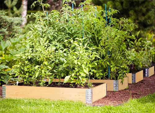 クロヌス ガーデンボックス ナチュラル10 レイズドベッド 木製プランター Kronus