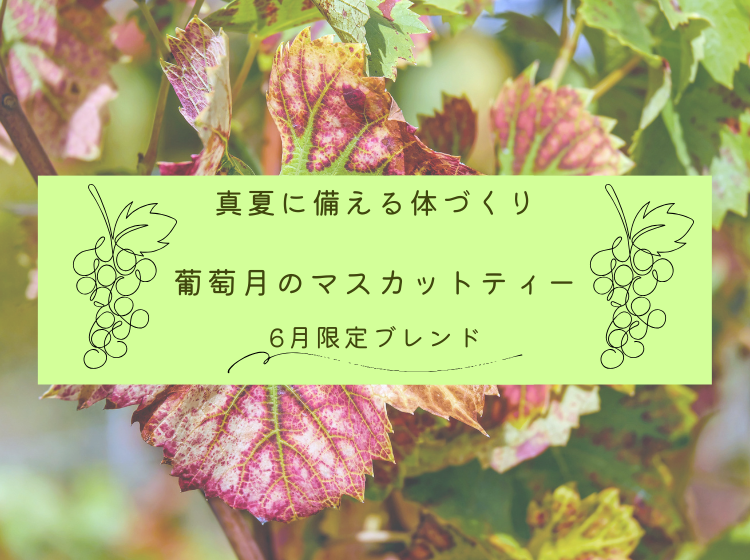 ��ƺ��Υޥ����åȥƥ���