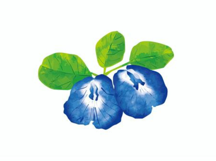 �ϡ���
