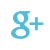 Google+