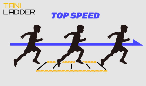 タニラダー　フィジカルトレーニング　ランニング　足が速くなる野球