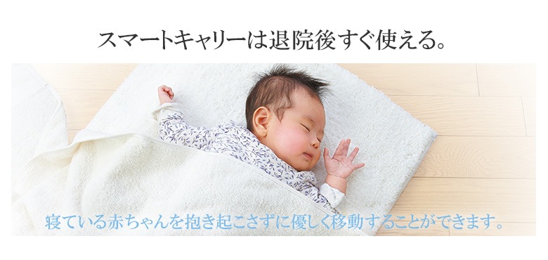 日本育児 新生児から使える スマートキャリー Isofixベースセット チャイルドシート すべての商品 日本育児公式オンラインショップ