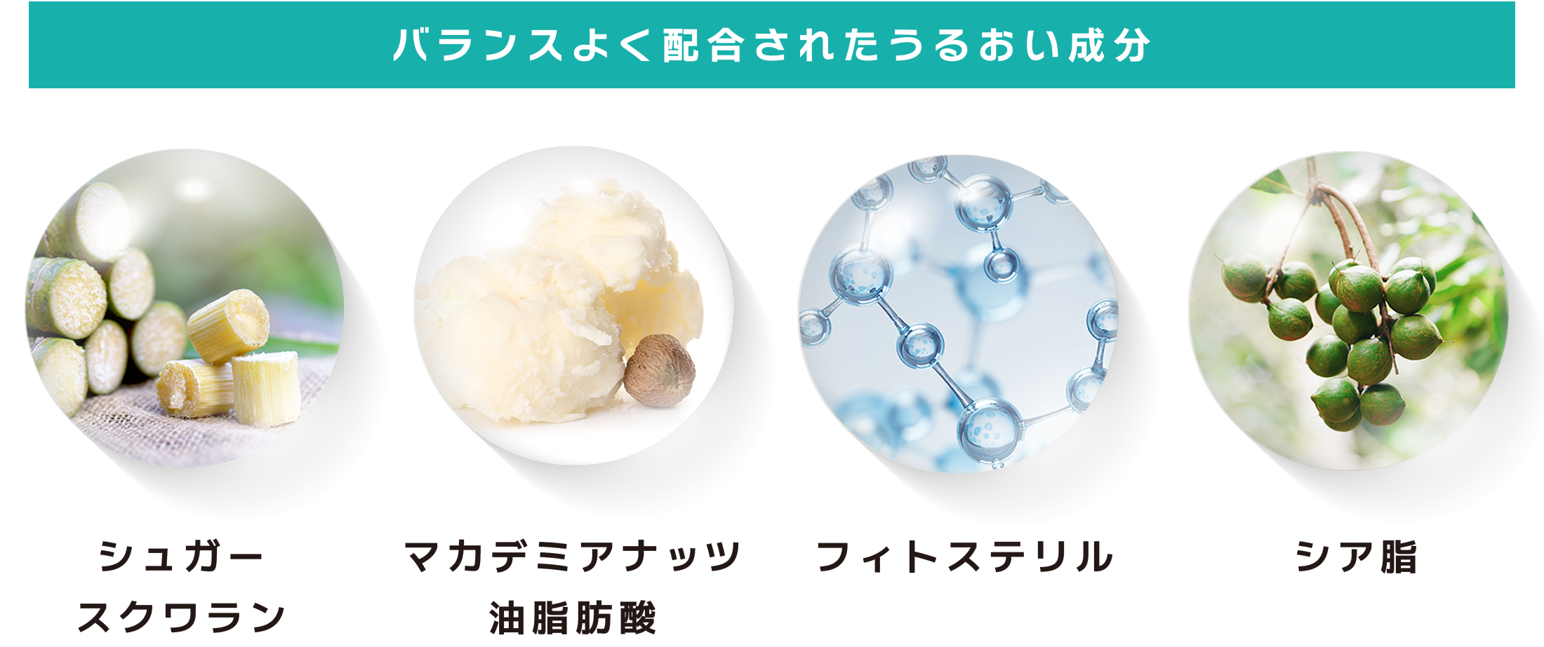 バランスよく配合されたうるおい成分