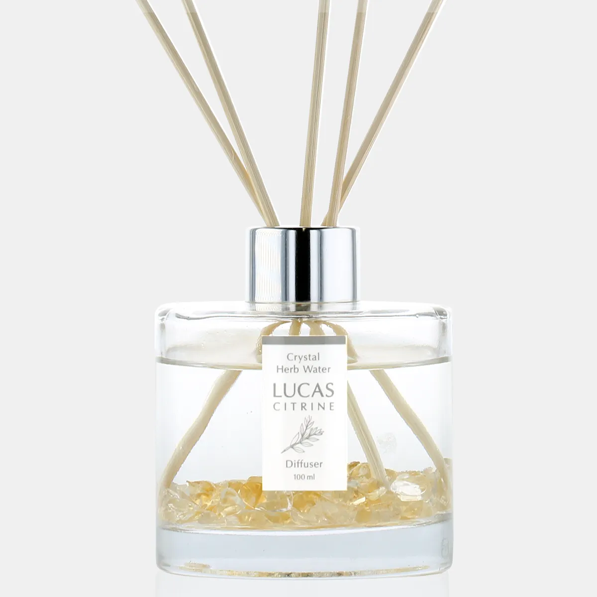 ۥ磻ȥ ǥե塼 LUCAS 륫ȥ