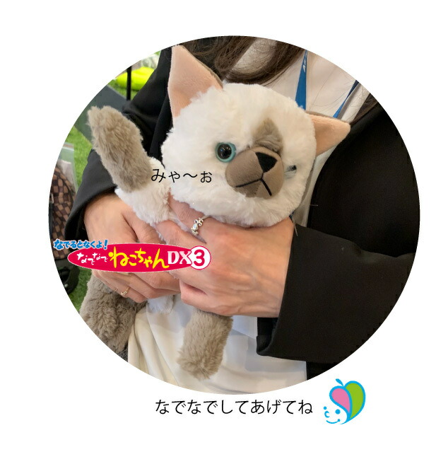 セール1322 0531 トレンドマスター Br なでなでねこちゃんdx3 Br ロシアンブルーちゃん シャムちゃん アメショーちゃん Br 猫のぬいぐるみ 新作 イイケア 介護と健康を応援する通販専門店 公式