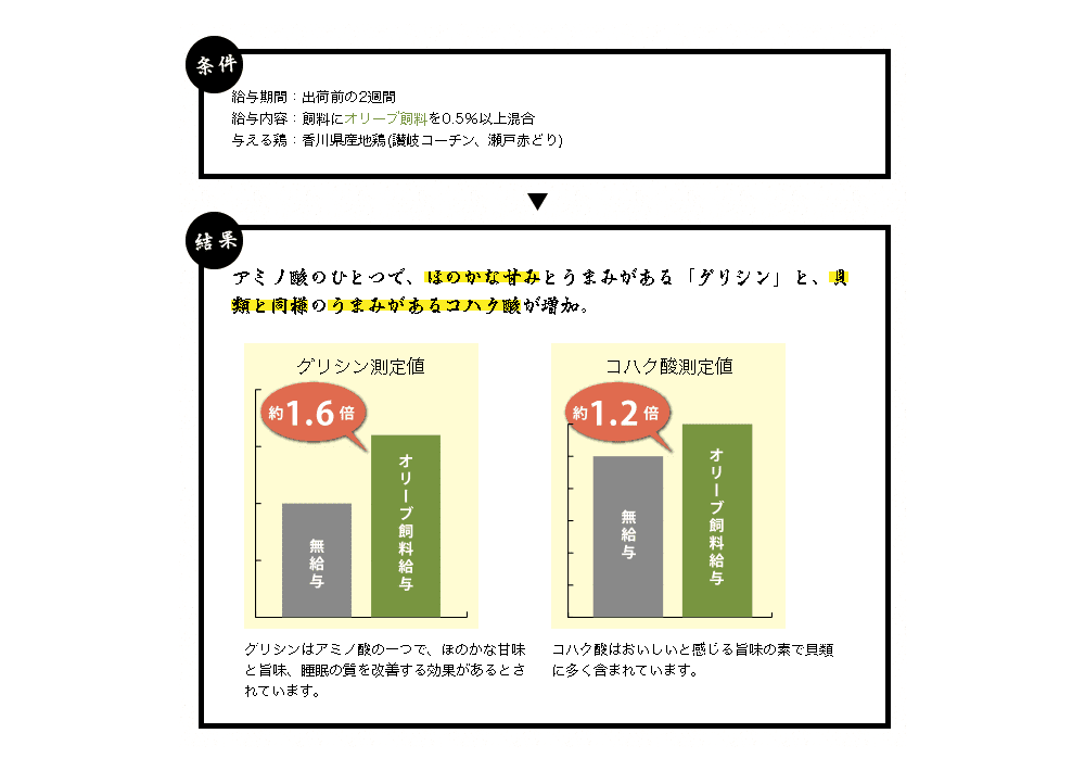 たんぱく フード 関連 やわらかく深い旨味のあるオリーブ。：創造生活