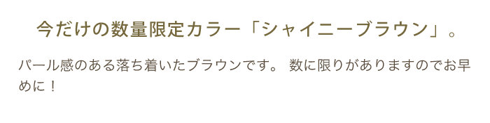 今だけの数量限定カラー「シャイニーブラウン」。