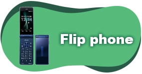 Flip phone
