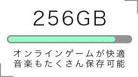 256GB